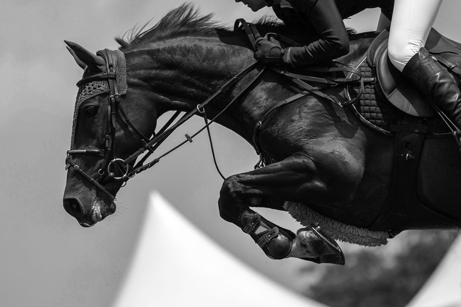 A horse and rider jumping over an obstacle during equestrian competition.