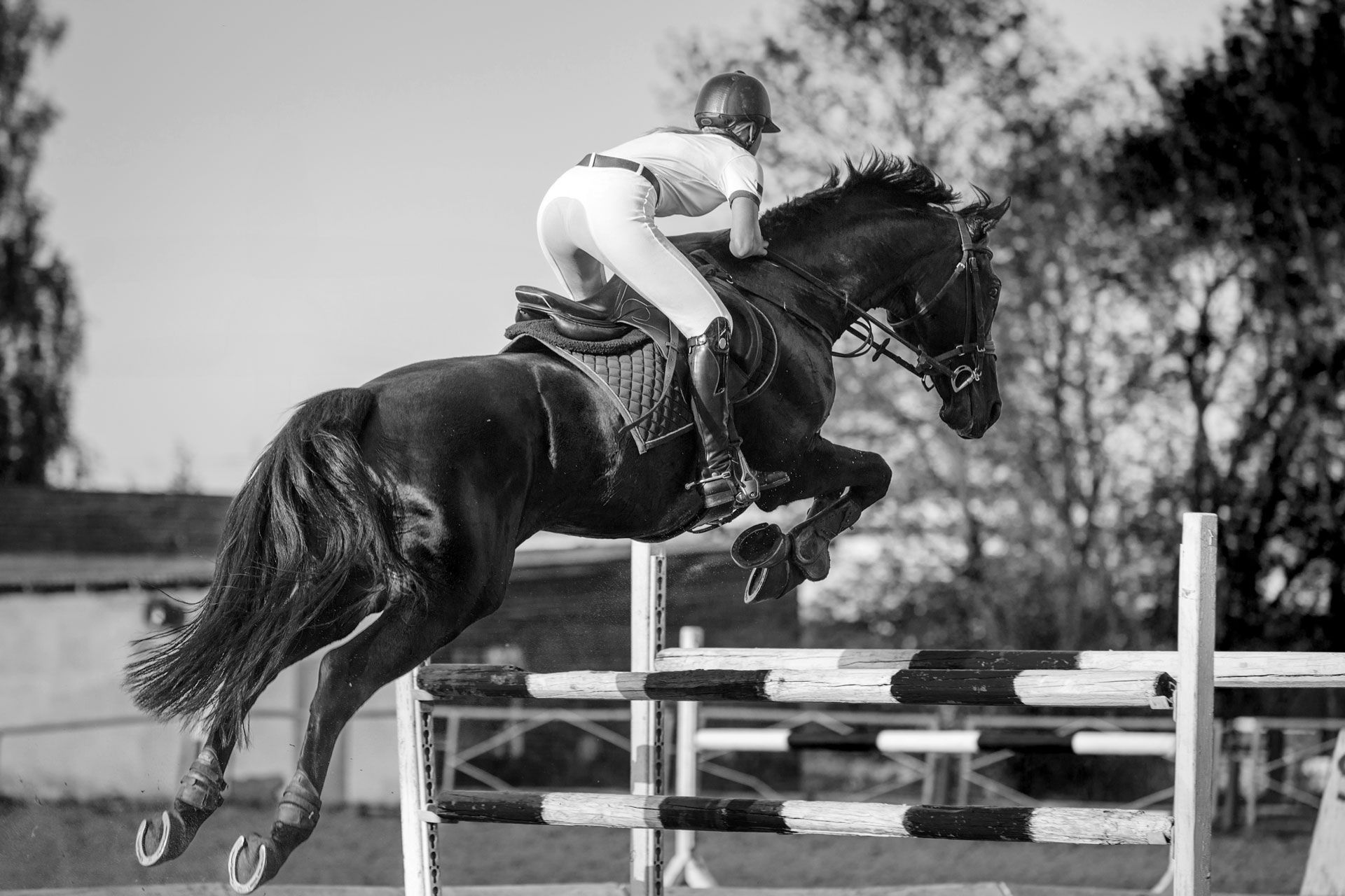 Equestrian in white riding attire jumping a horse over a fence, black and white image.