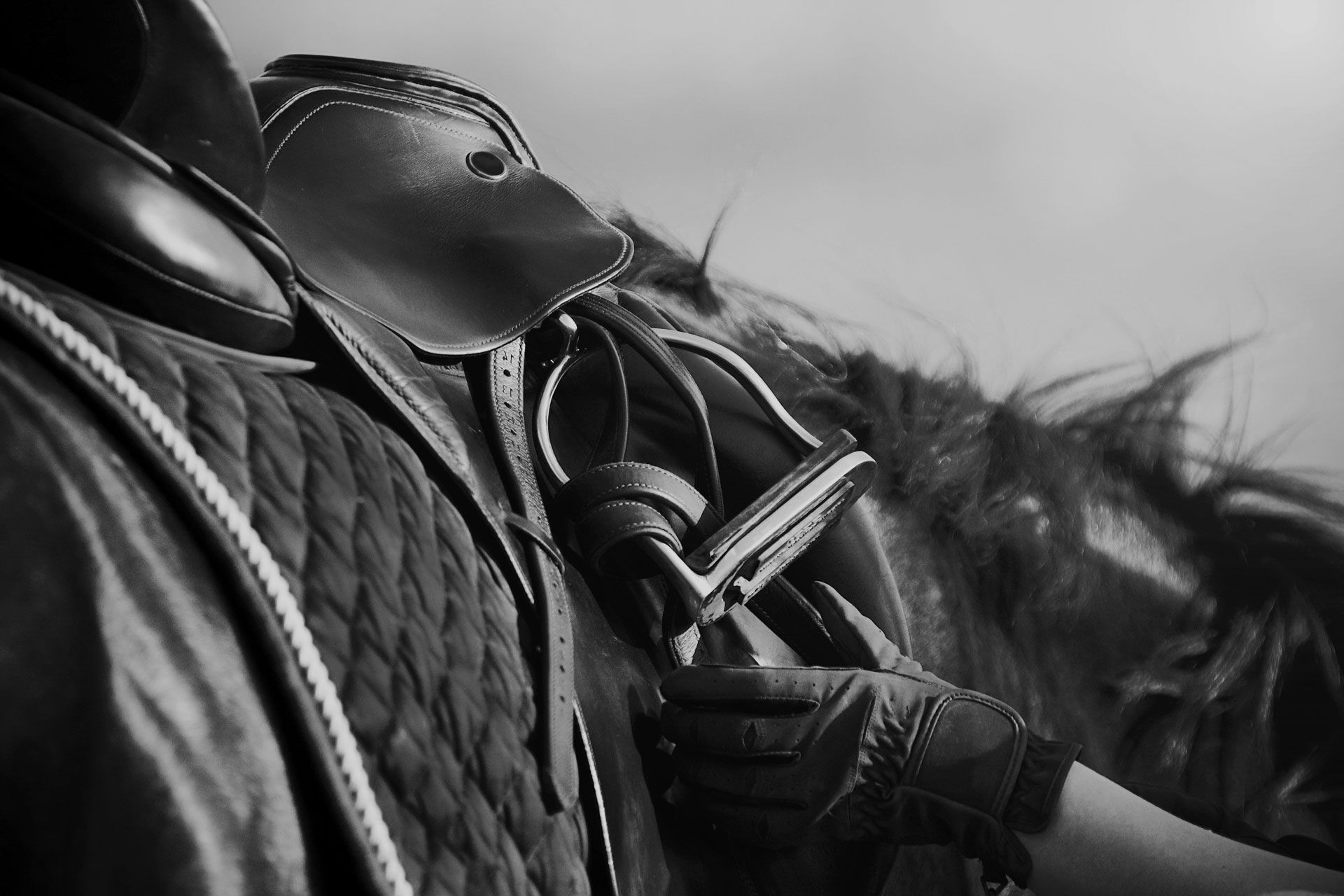 Horseback rider's hand holding a rein, with a leather saddle and part of the horse's head in monochrome.