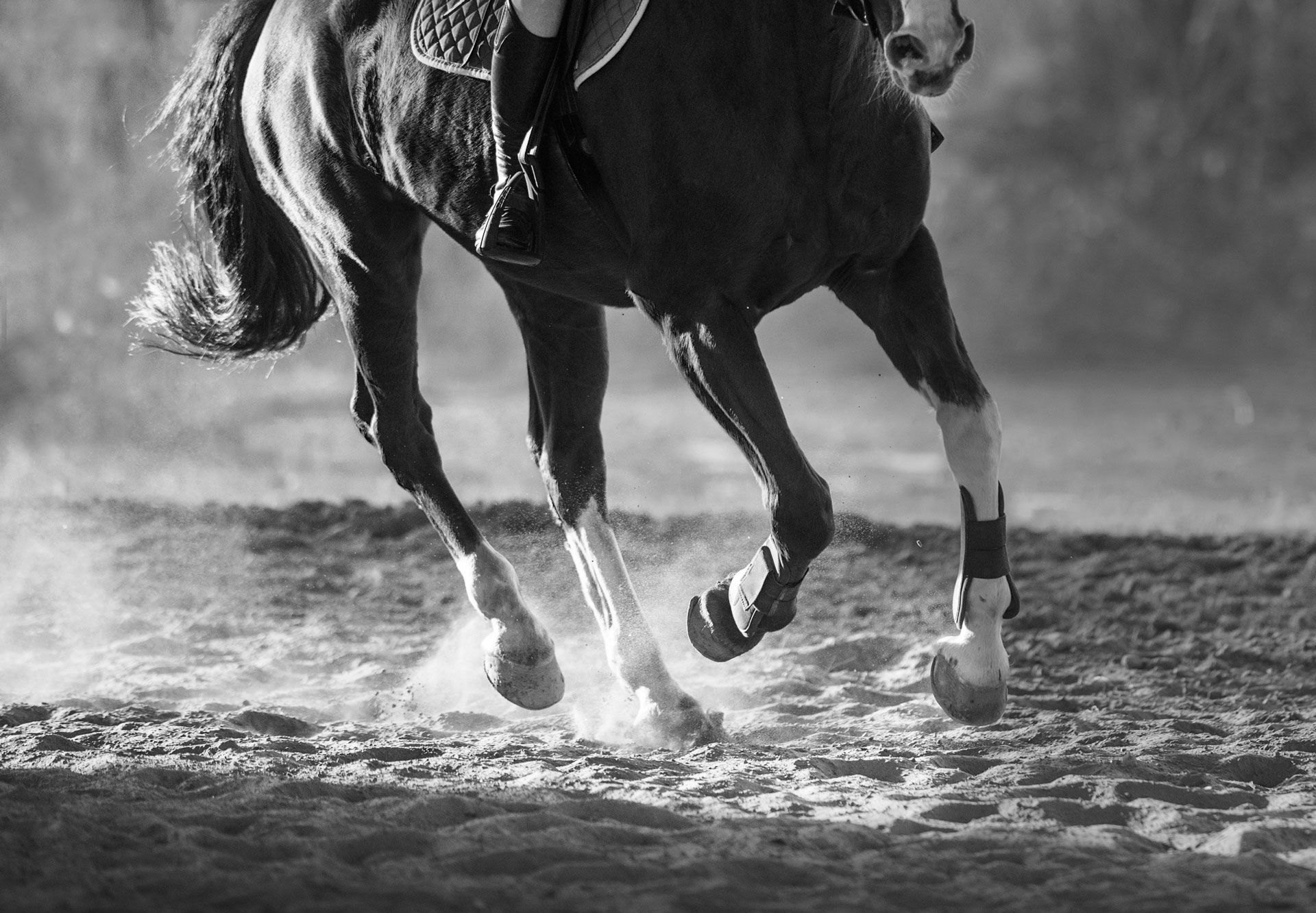 Horse galloping, legs extended, kicking up dust in an arena. Black and white.