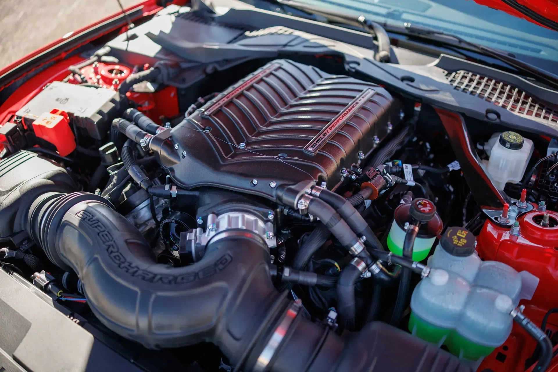 Car engine bay with a polished supercharger, black intake tubing, and red body panels