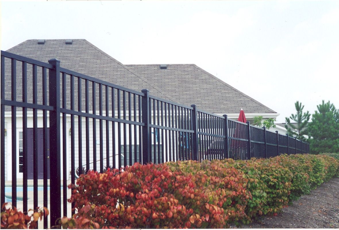 Black metal fence in front of a house, with red and green bushes in foreground.