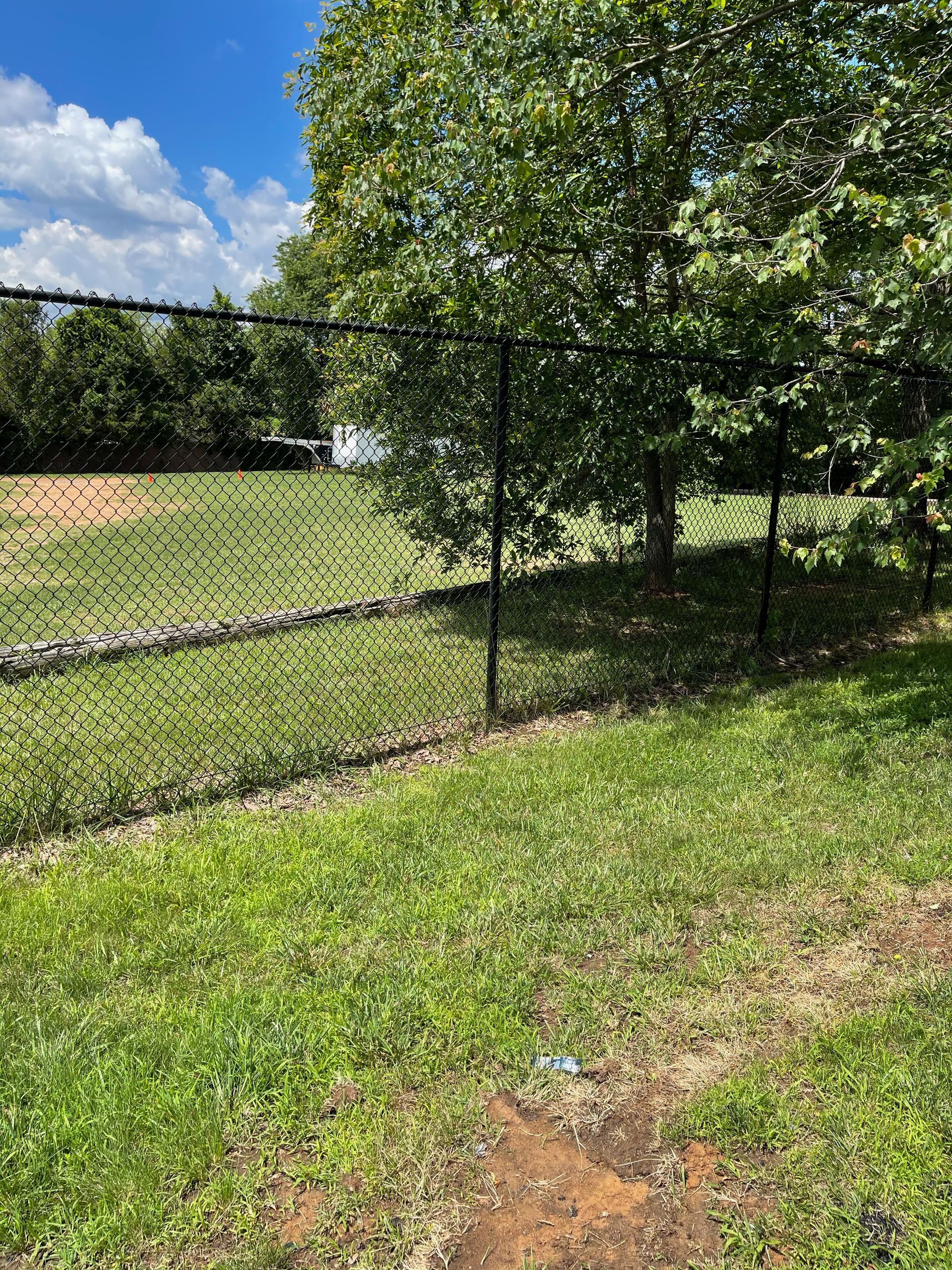 A black chain-link fence encloses a green field with a tree on the right and a blue sky in the background.