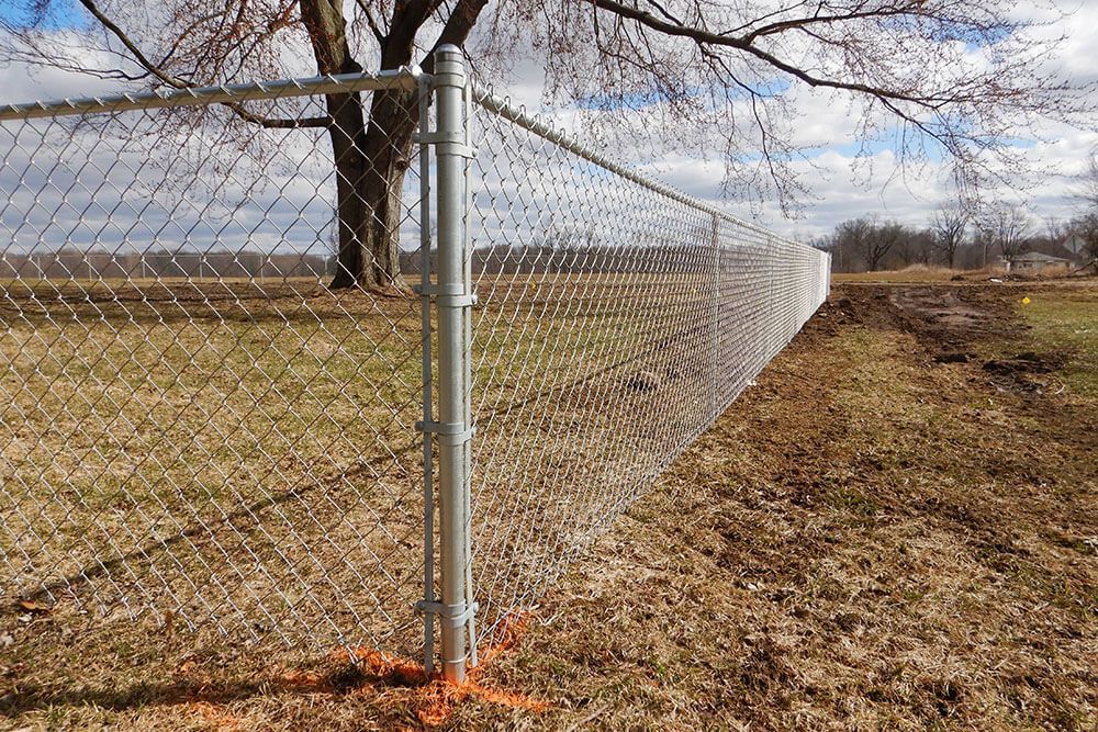 Chain-link fence in a grassy field, with a tree in the background under a cloudy sky.