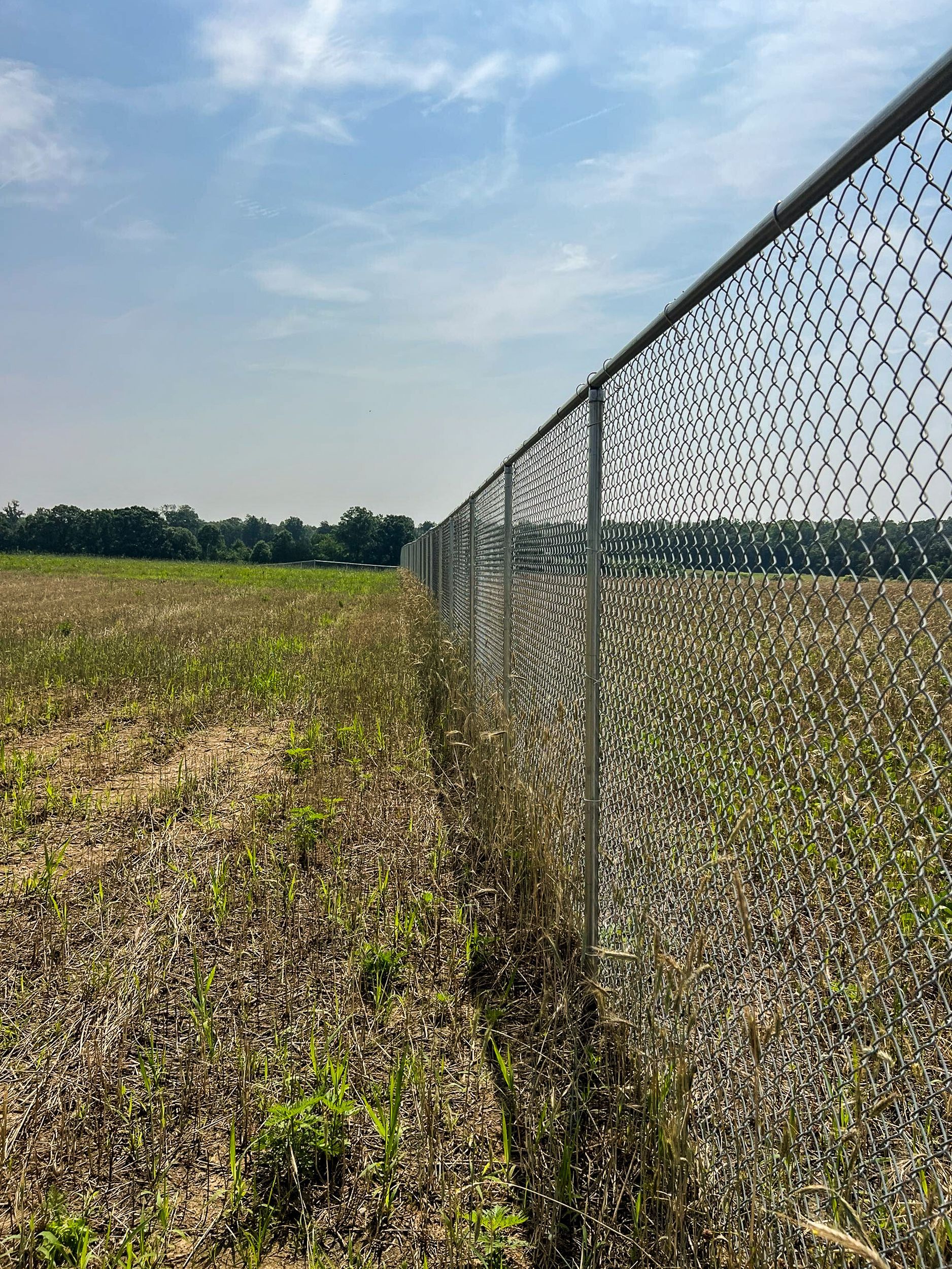 Chain-link fence running through a field on a sunny day.