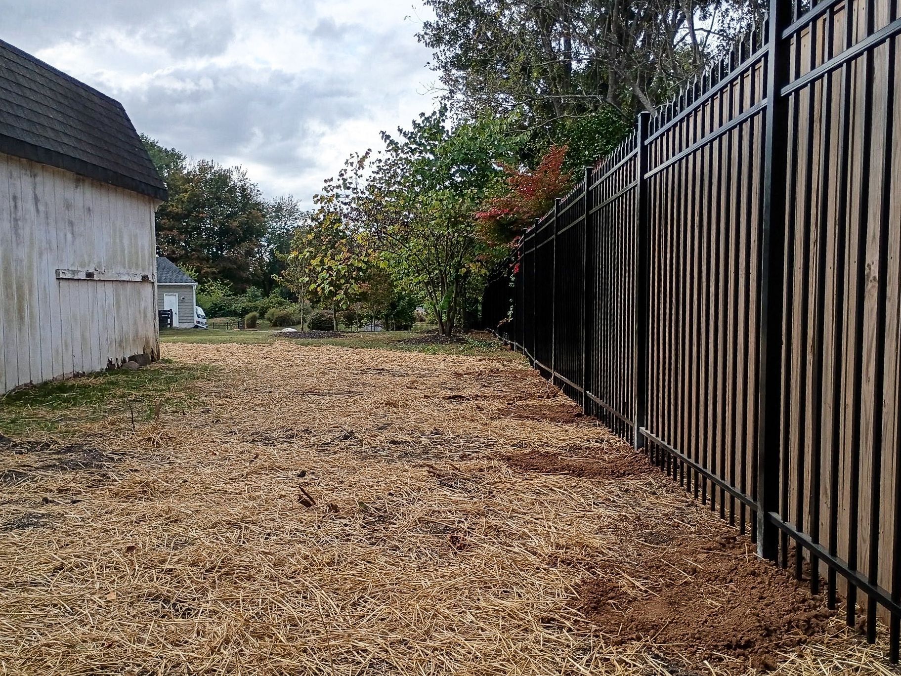 A backyard covered in wood chips. A black fence runs along one side. A white building is on the left.