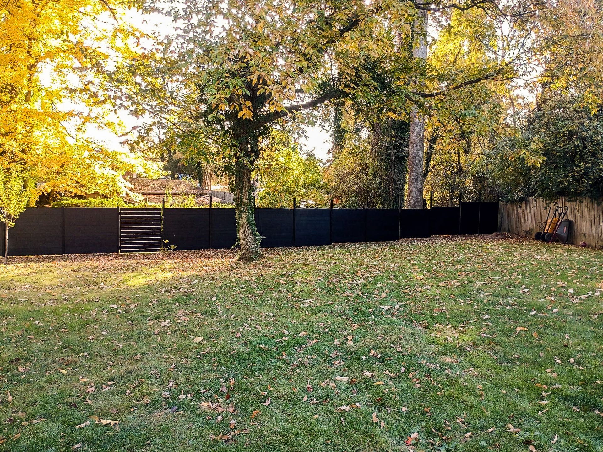 A black fence in a grassy yard, surrounded by trees with yellow and green leaves in the autumn.