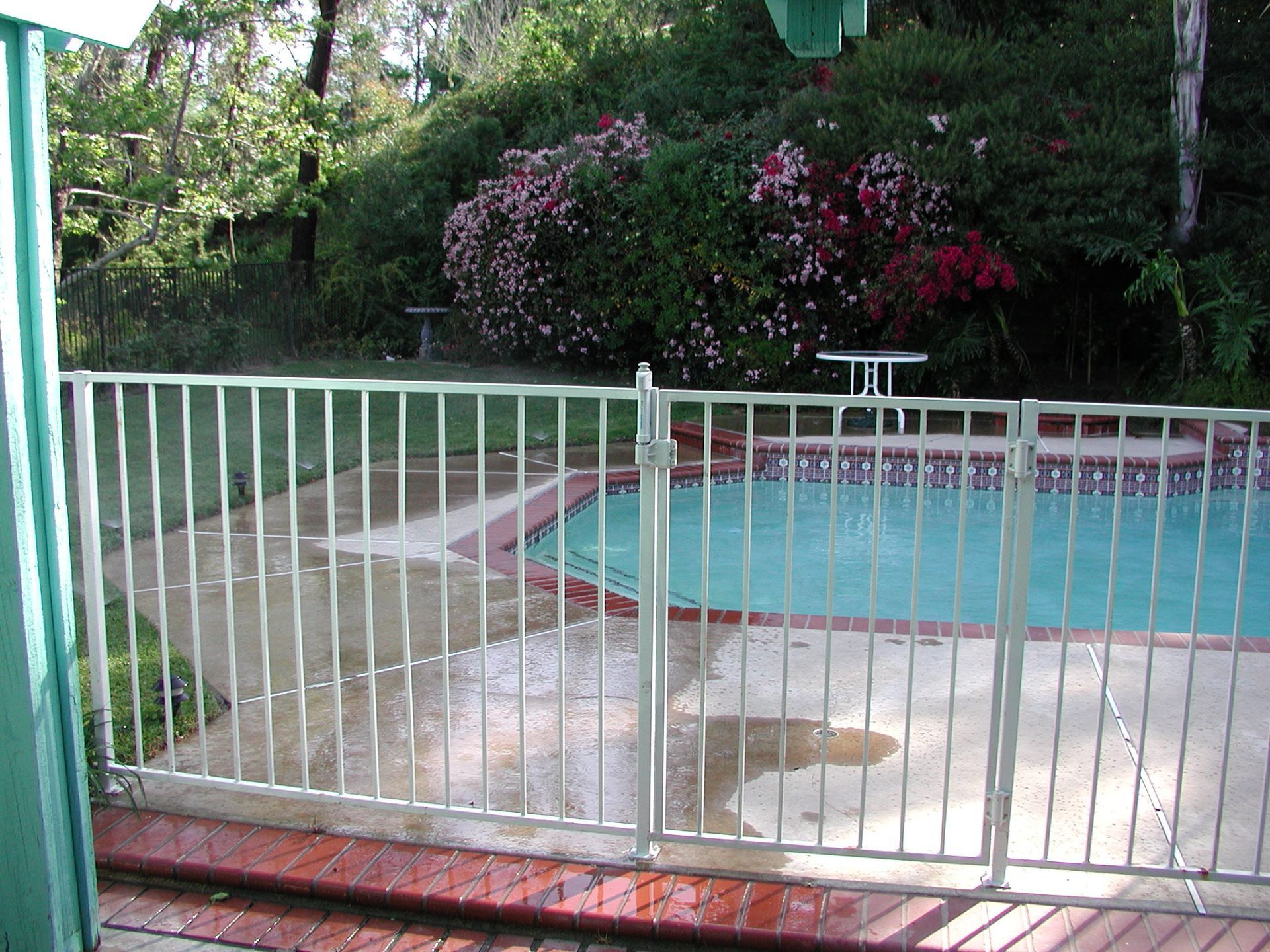 White metal fence surrounds a swimming pool; bushes and trees in the background.
