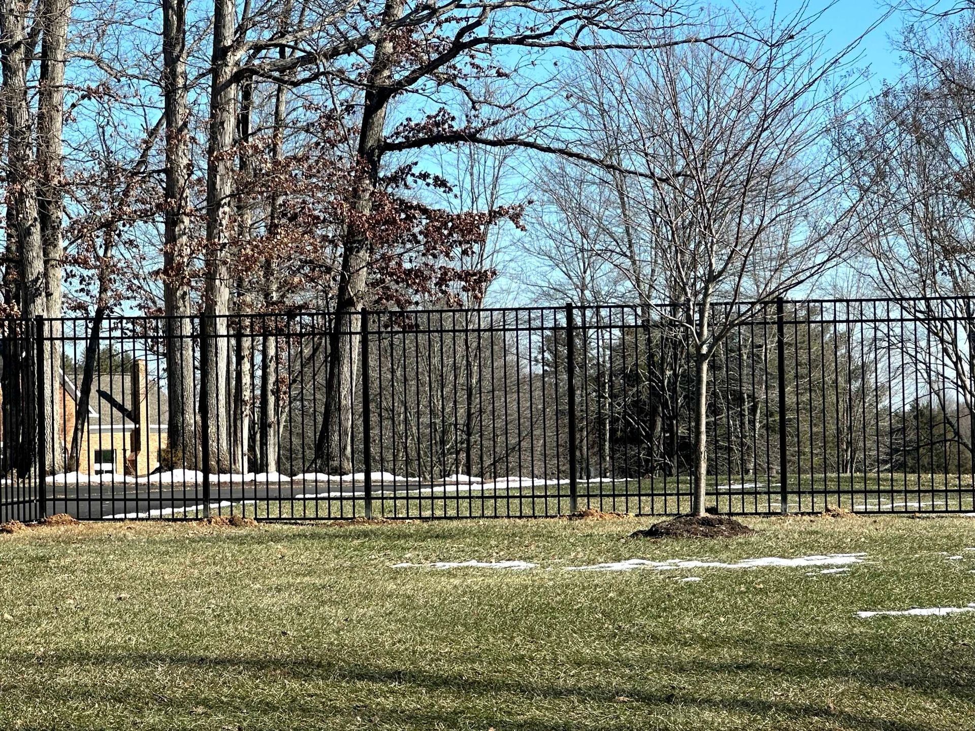 Black metal fence in front of grass and trees.