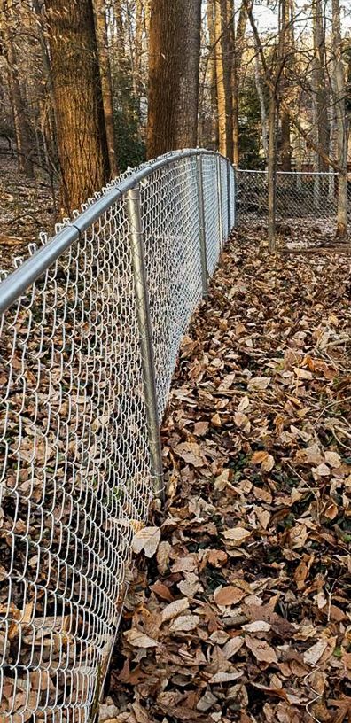 Chain-link fence curves along a forest path covered in fallen leaves, trees in background.