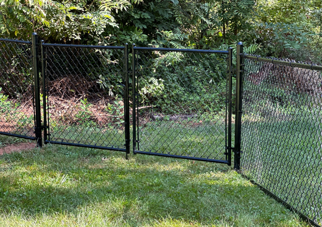 Black chain-link fence with a gate in a grassy yard, trees in the background.
