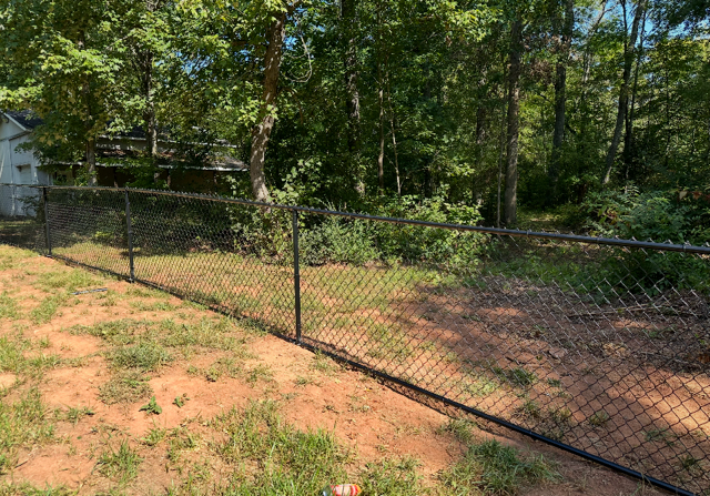 Black chain-link fence in front of a wooded area, with grass and dirt in the foreground.