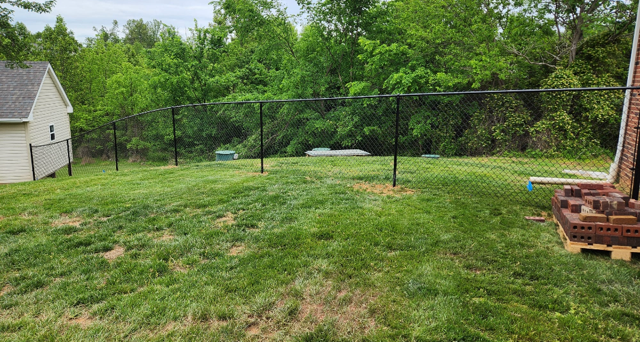 A grassy backyard with a black chain-link fence, green trees in the background, and a house on either side.