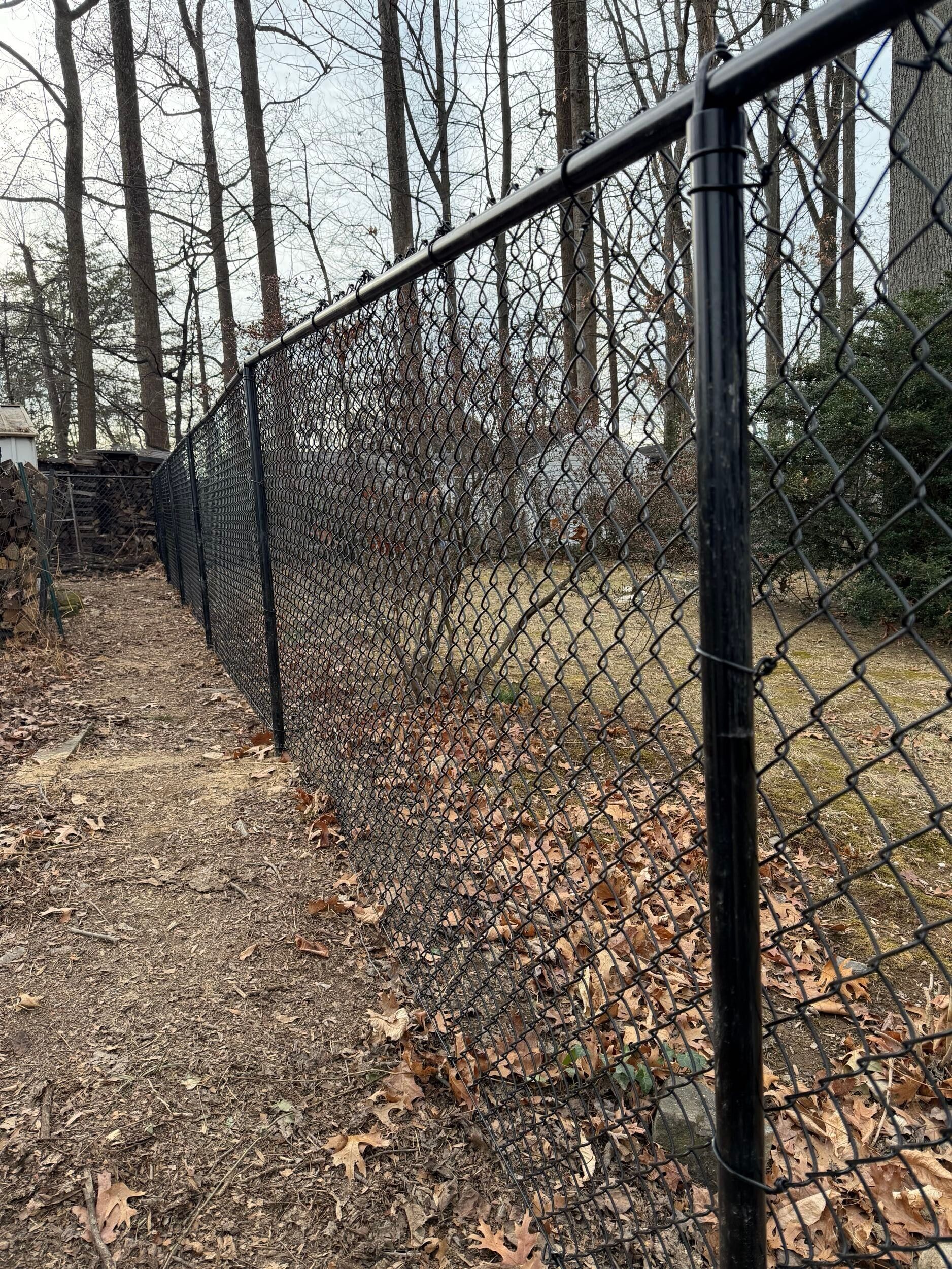 Black chain-link fence in a yard with fallen leaves and bare trees in the background.