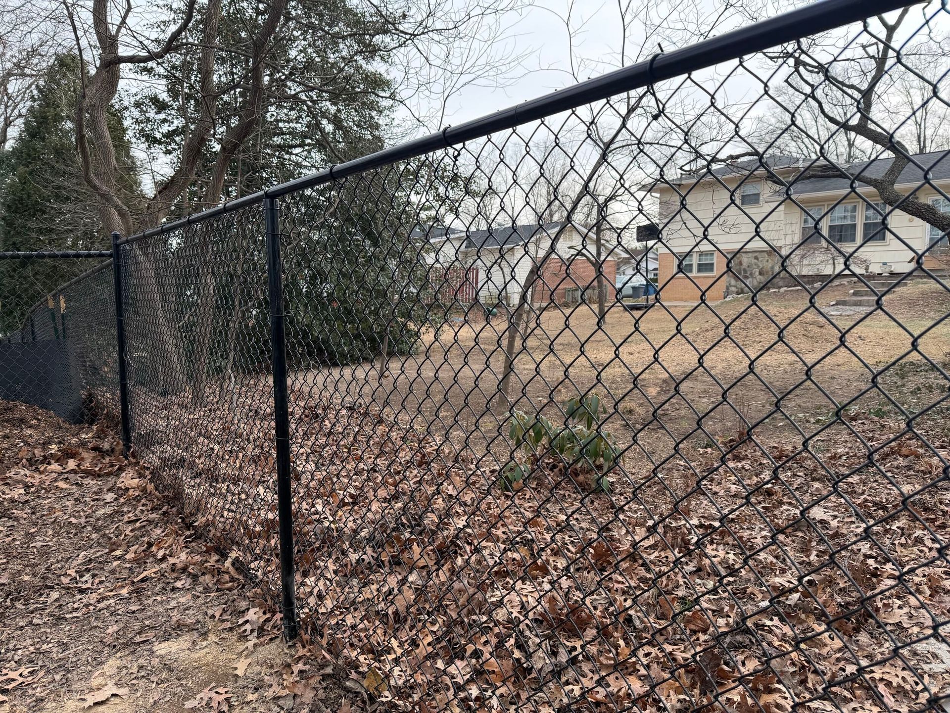Black chain-link fence in front of fallen leaves, trees and houses in the background.