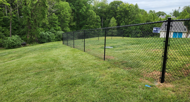 Black chain-link fence on grassy yard, trees in background, small house visible.
