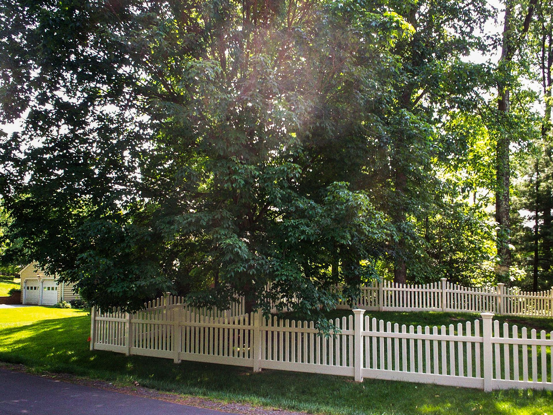 White picket fence surrounds a large tree on a grassy lawn; houses in the background.