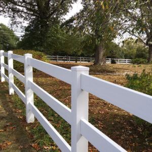 White three-rail fence in a grassy yard, trees in the background.