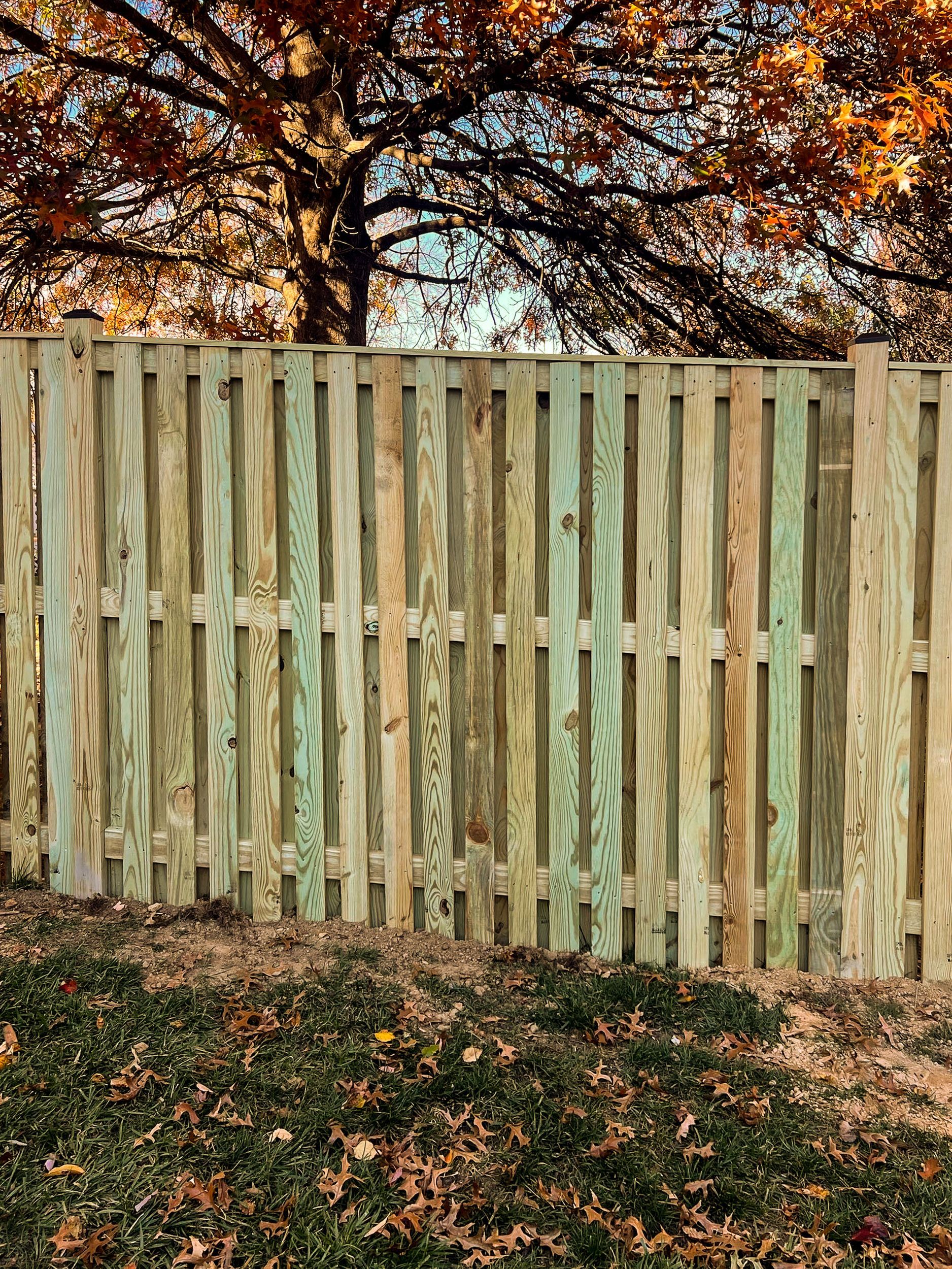 Wooden fence with green and brown tones; fall foliage background.