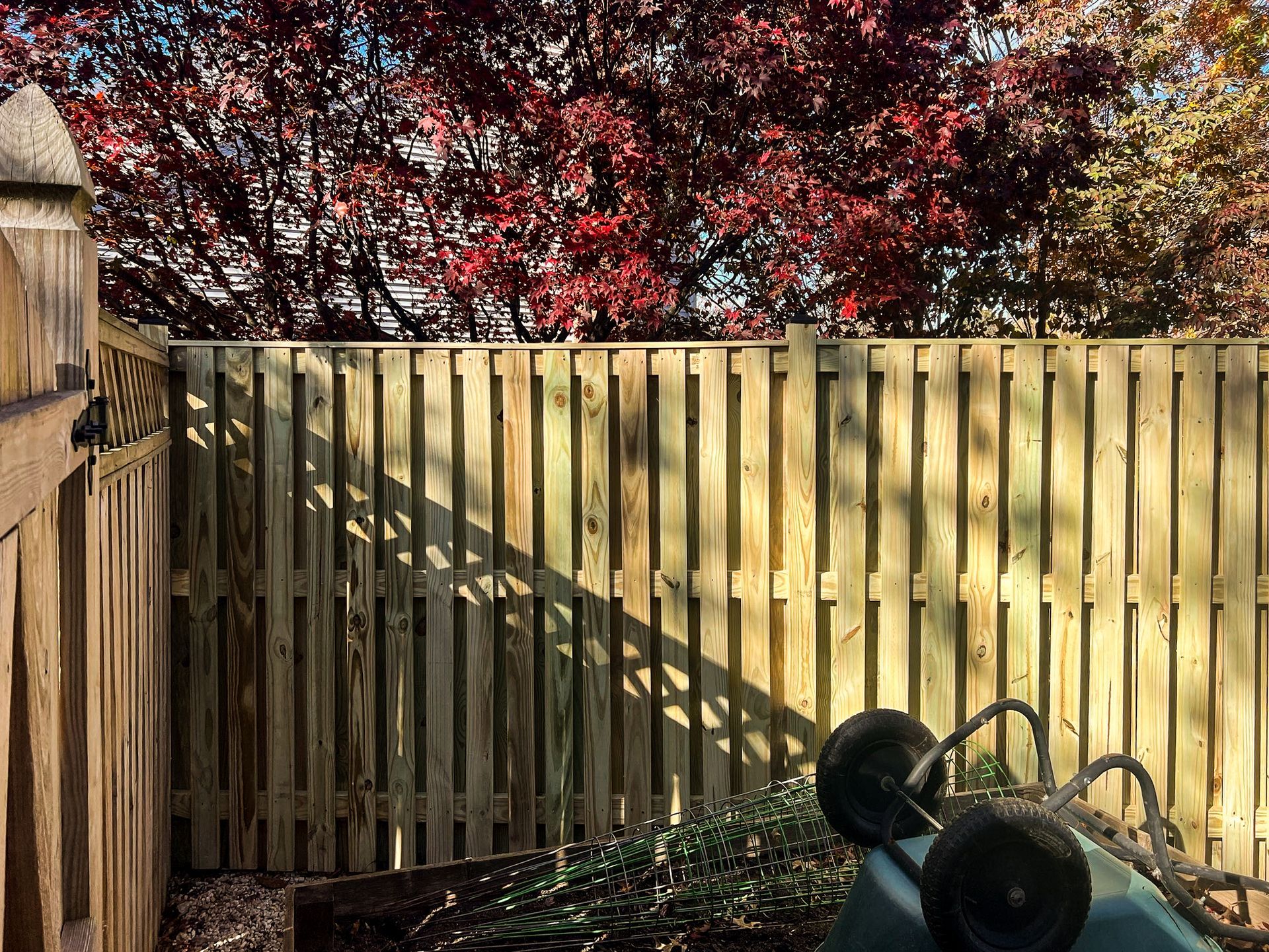 Wooden fence in a yard with a wheelbarrow. Red leaves of a tree are in the background.