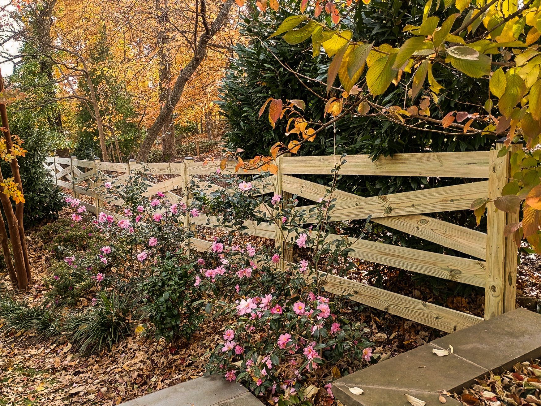 Wooden fence with angled supports, surrounded by pink flowers and fall foliage.