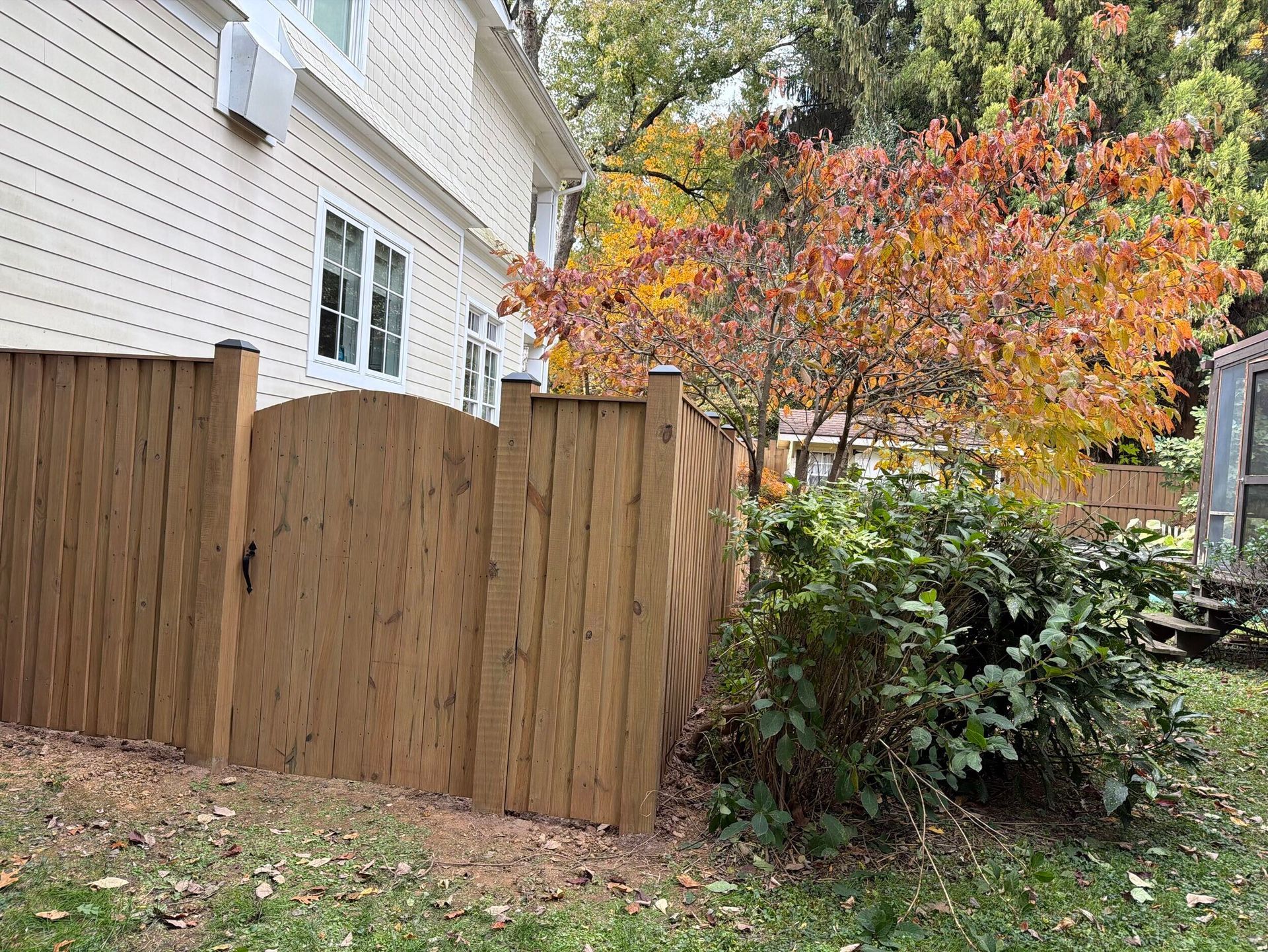 Wooden fence with gate next to a house and a tree with autumn foliage. Green bush in front.