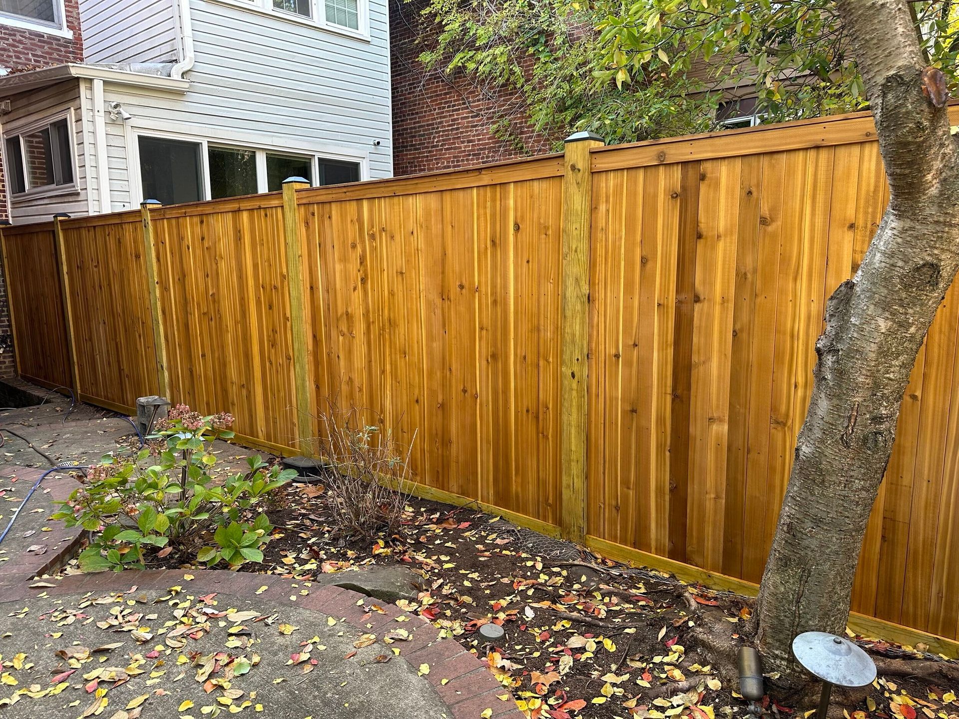 Wooden fence in a yard with a tree and fallen leaves.