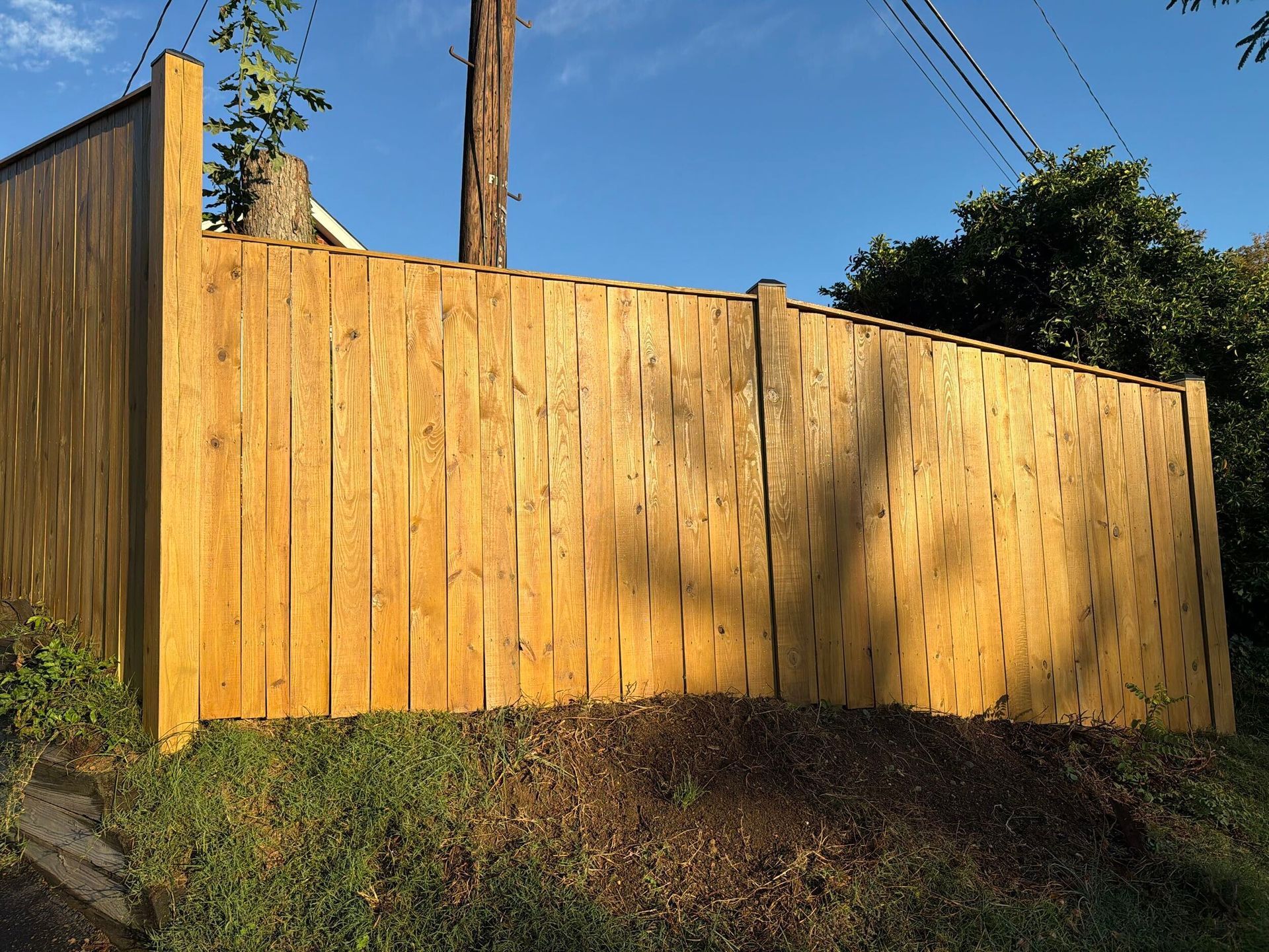 Wooden fence on a slight incline, stained gold, with shadows from foliage. Blue sky background.