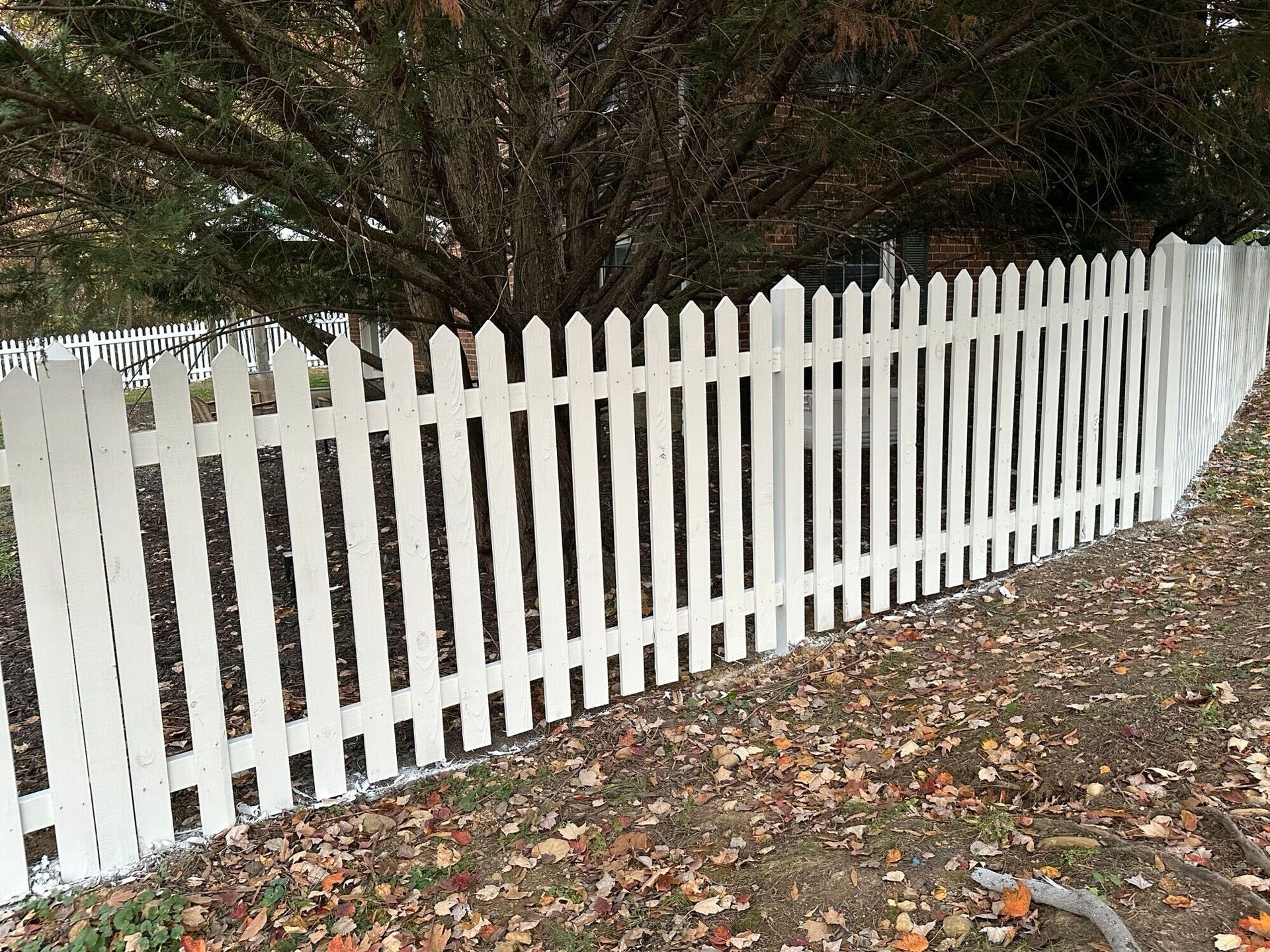 White picket fence around a yard with a tree and fallen leaves.