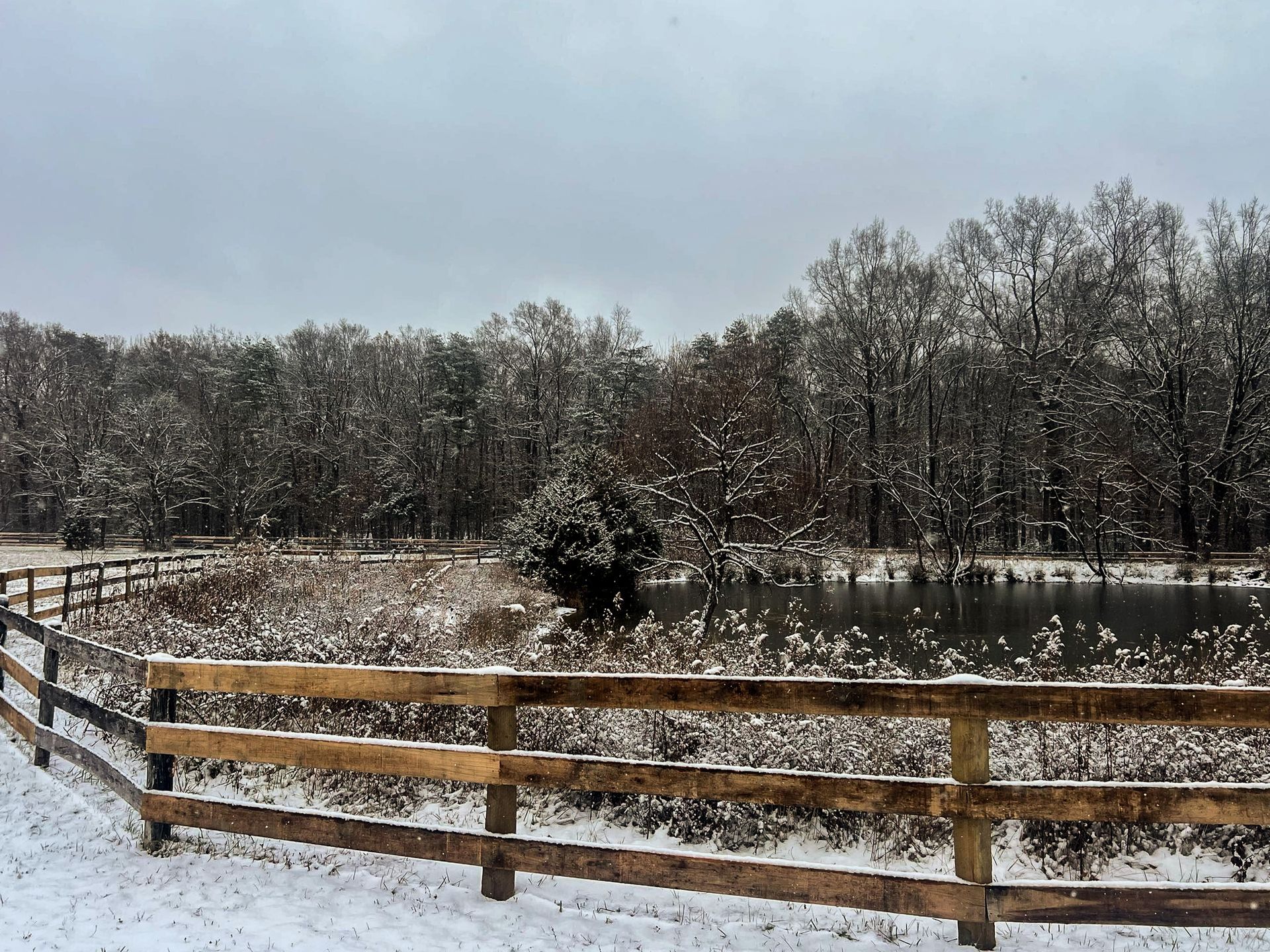 Snowy landscape: wooden fence, pond, snow-covered trees, overcast sky.