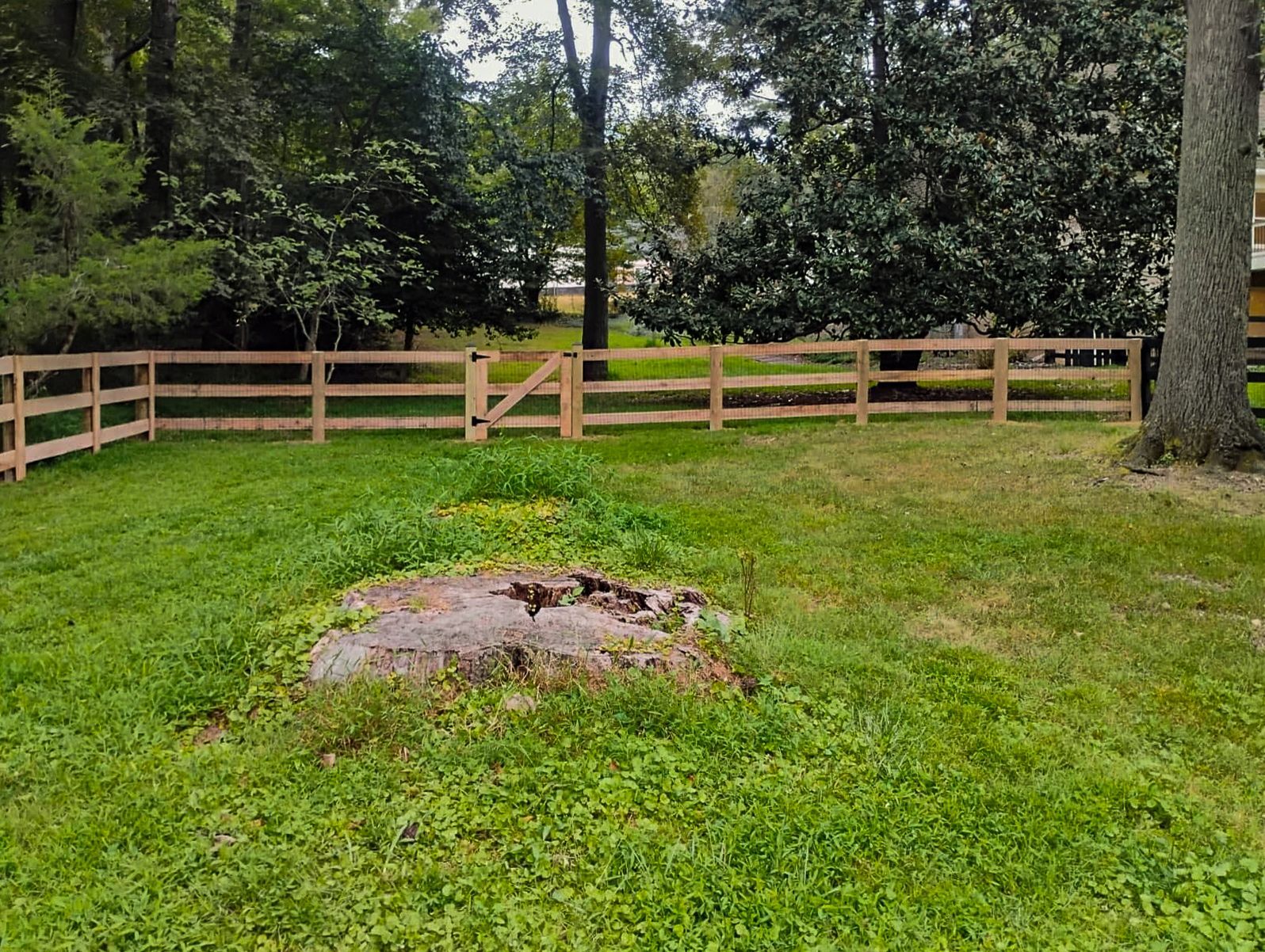Wooden fence in grassy backyard with a tree stump.