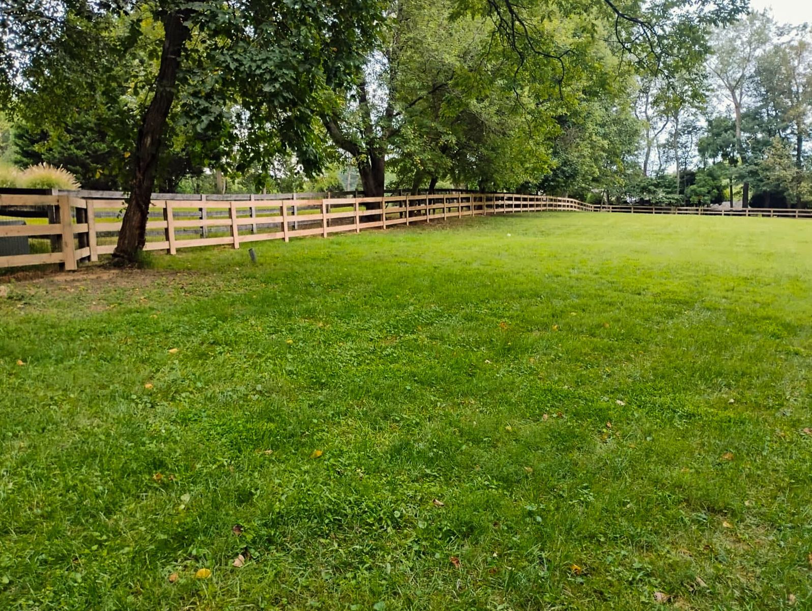 Wooden fence along a grassy field with trees in the background.