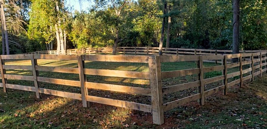 A wooden fence encloses a grassy area surrounded by trees.