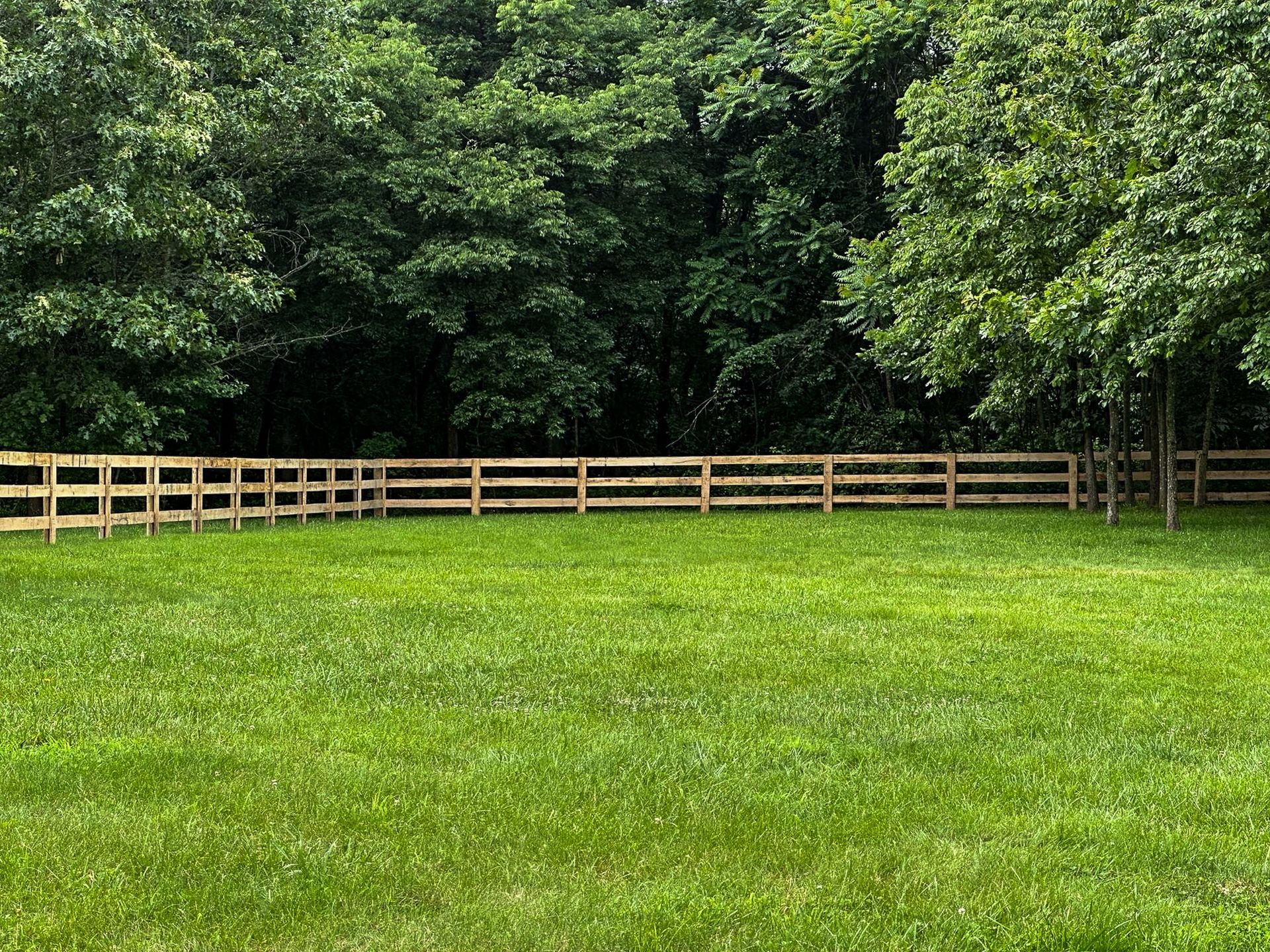A grassy yard with a wooden fence bordering a treeline.