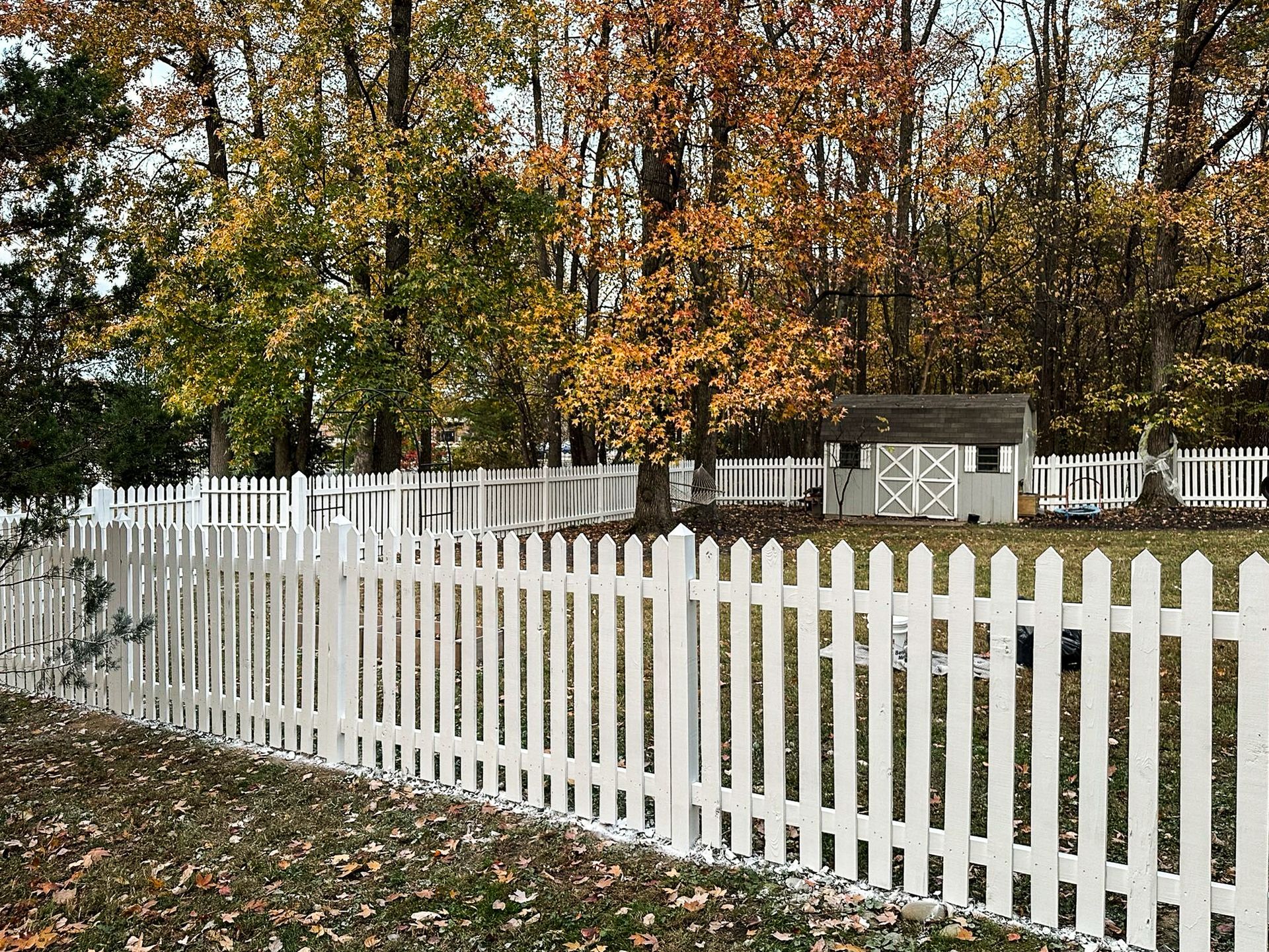 White picket fence in front of a yard with autumn trees and a small shed.