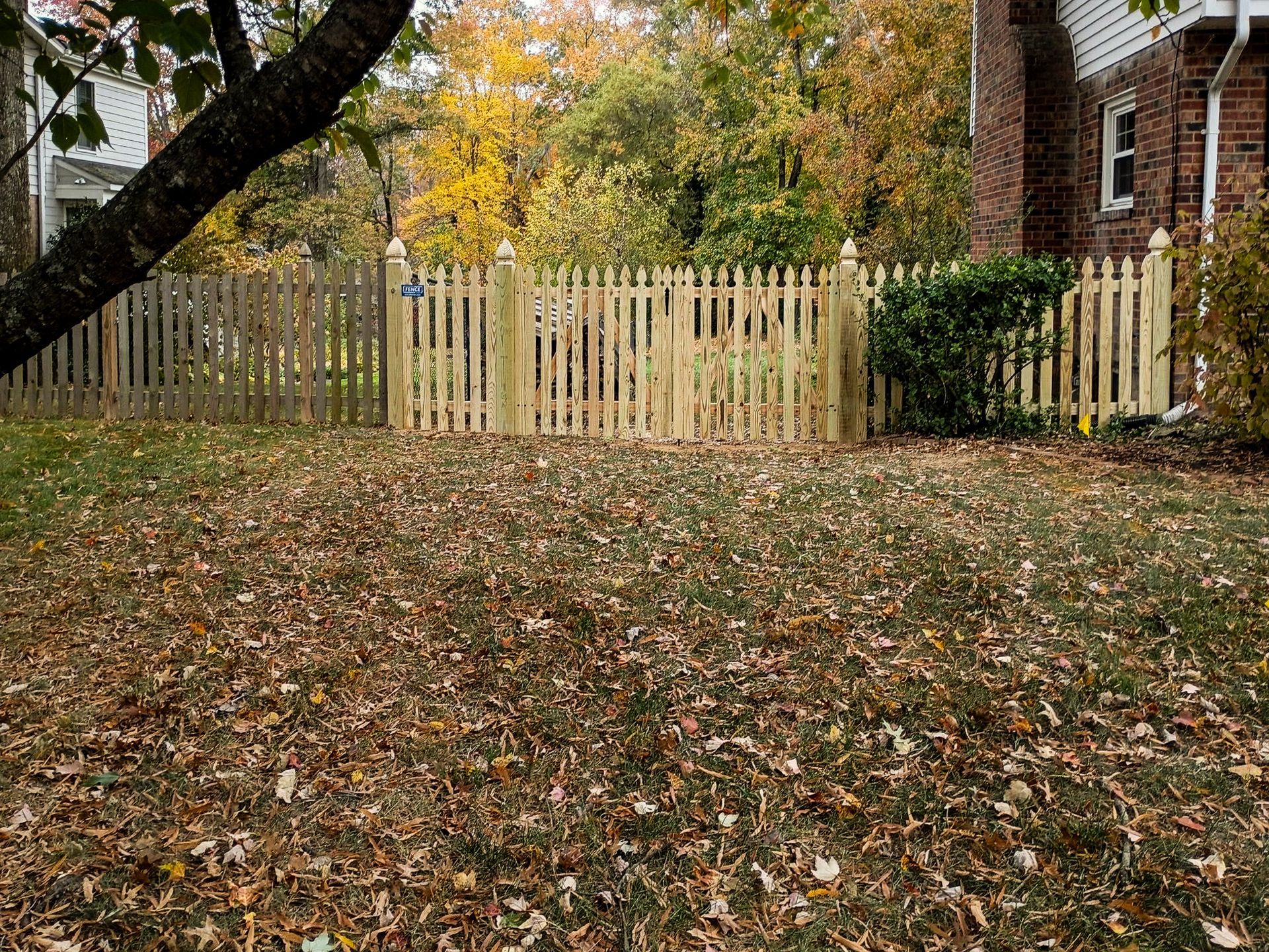 A wooden picket fence encloses a backyard covered in fallen autumn leaves.