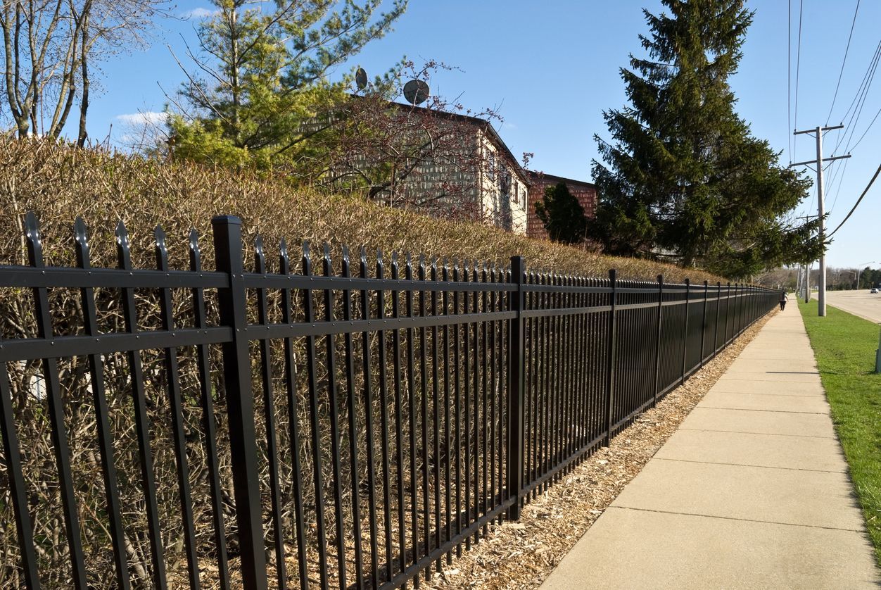 Black metal fence along a sidewalk, with bushes behind it and a building in the distance.