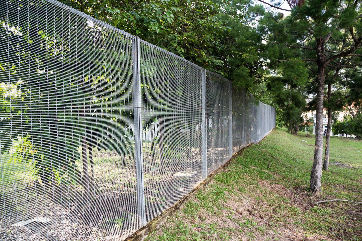 Metal fence with a grid pattern, partially obscuring the trees and vegetation behind it.