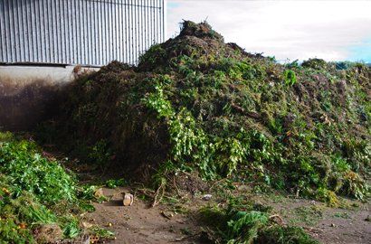 Garden waste removal services