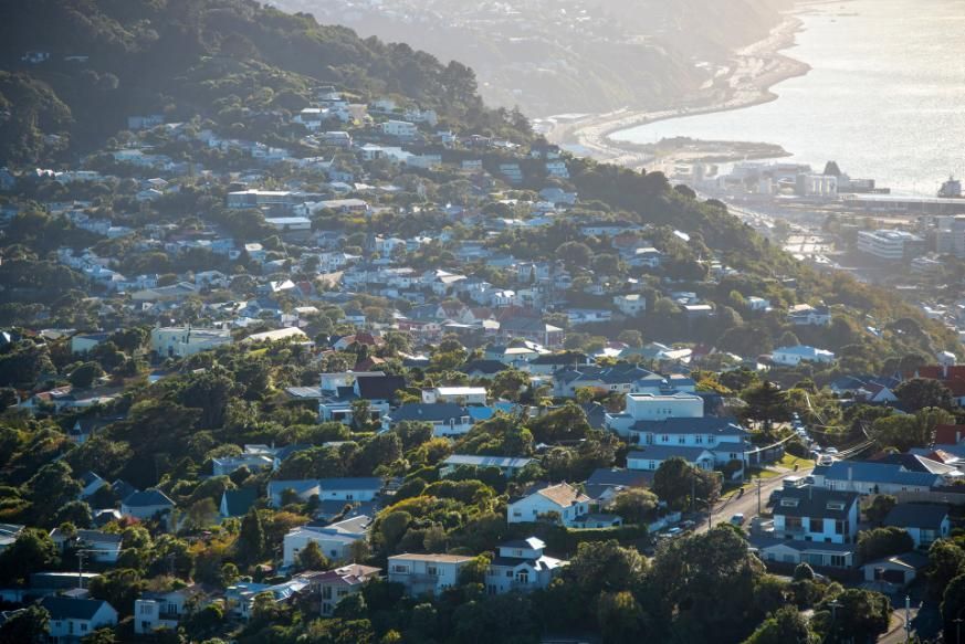 Residential Houses — As Is Where Is in Wellington, NZ