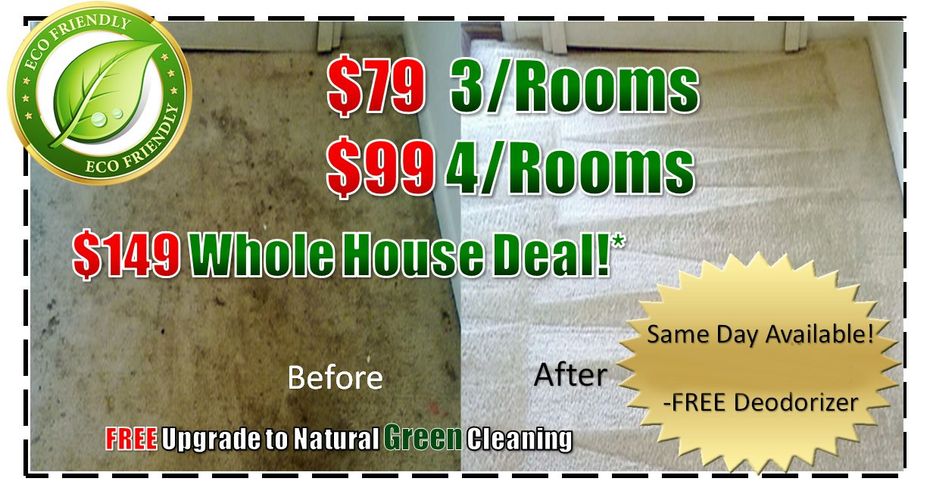professional steam carpet cleaners, steam carpet cleaning