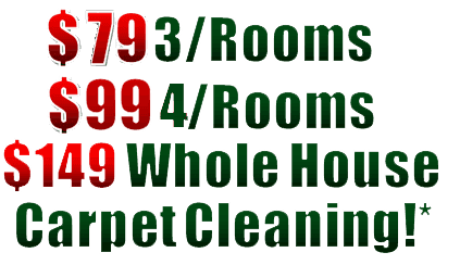 carpet cleaning special, steam carpet cleaning special