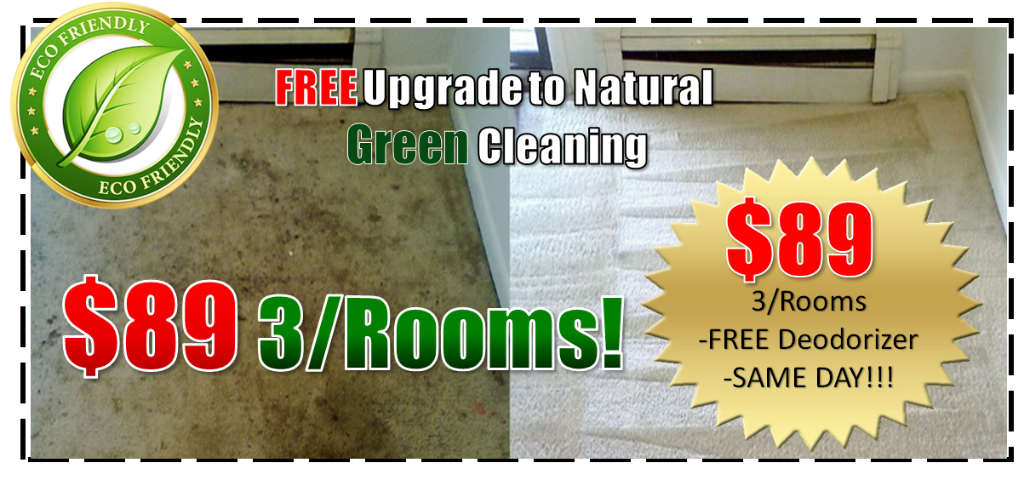 professional steam carpet cleaners, steam carpet cleaning