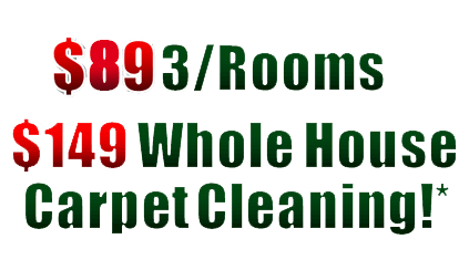 carpet cleaning special, steam carpet cleaning special