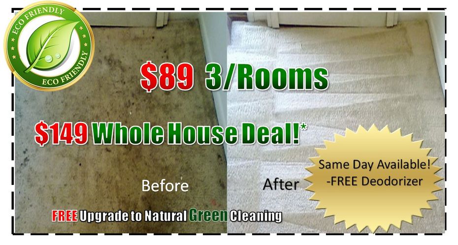 professional steam carpet cleaners, steam carpet cleaning