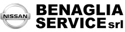 Logo Benaglia Service