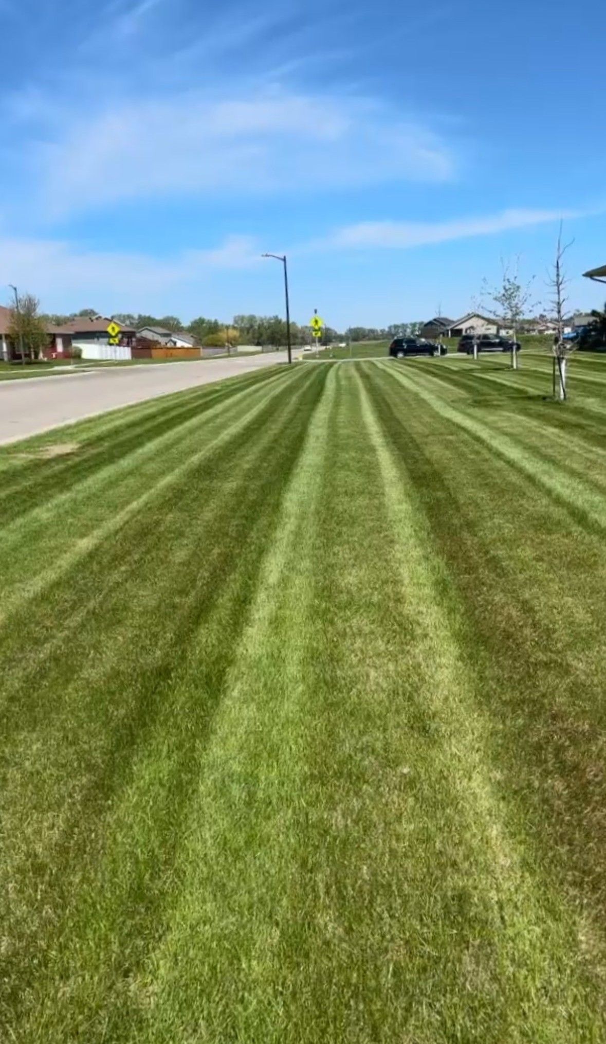A grassy lawn featuring straight, alternating light and dark green mowing stripes, set along a quiet residential street.