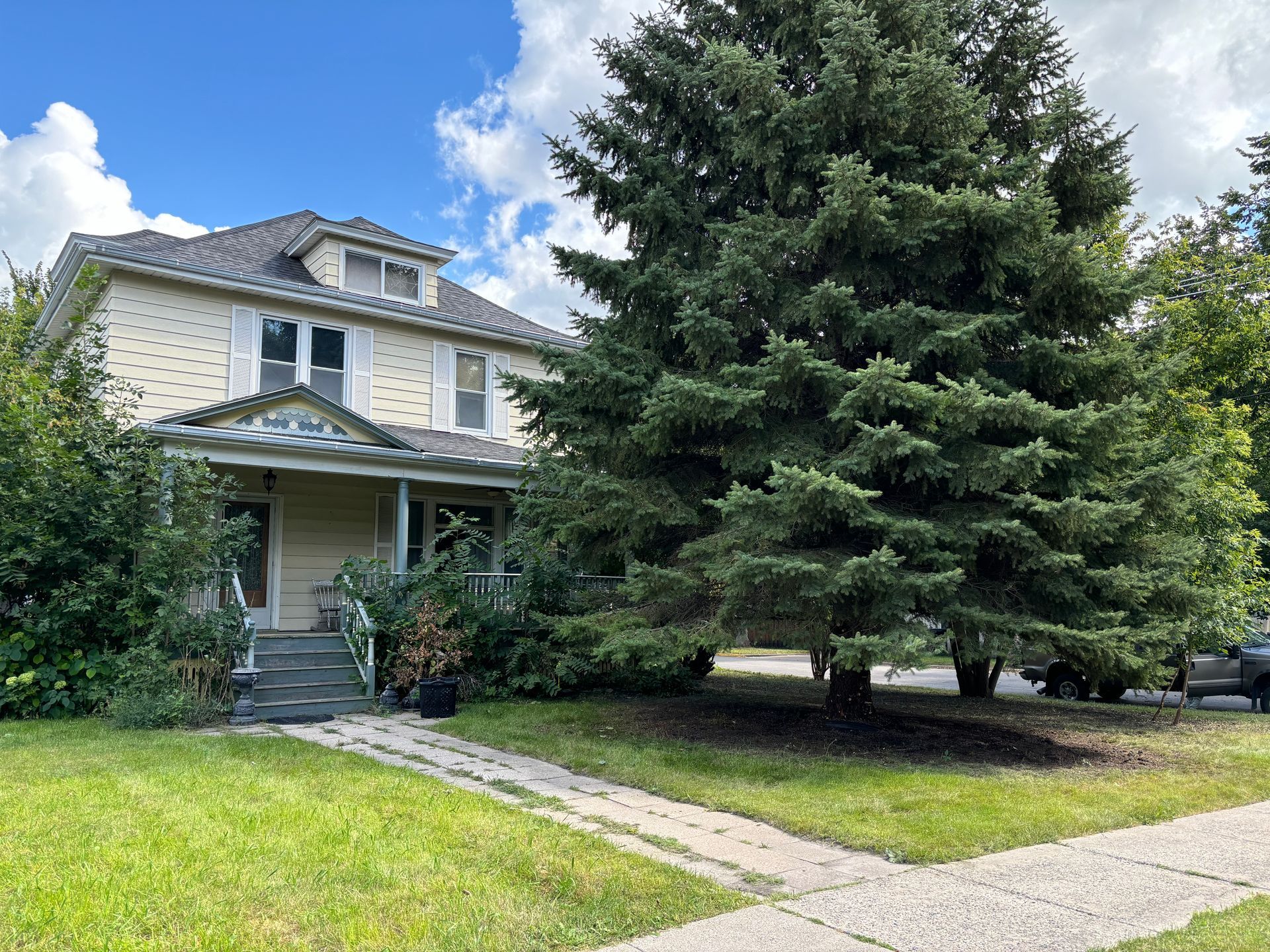 A two-story light-yellow house with a front porch, surrounded by lush green foliage and a large conifer tree.