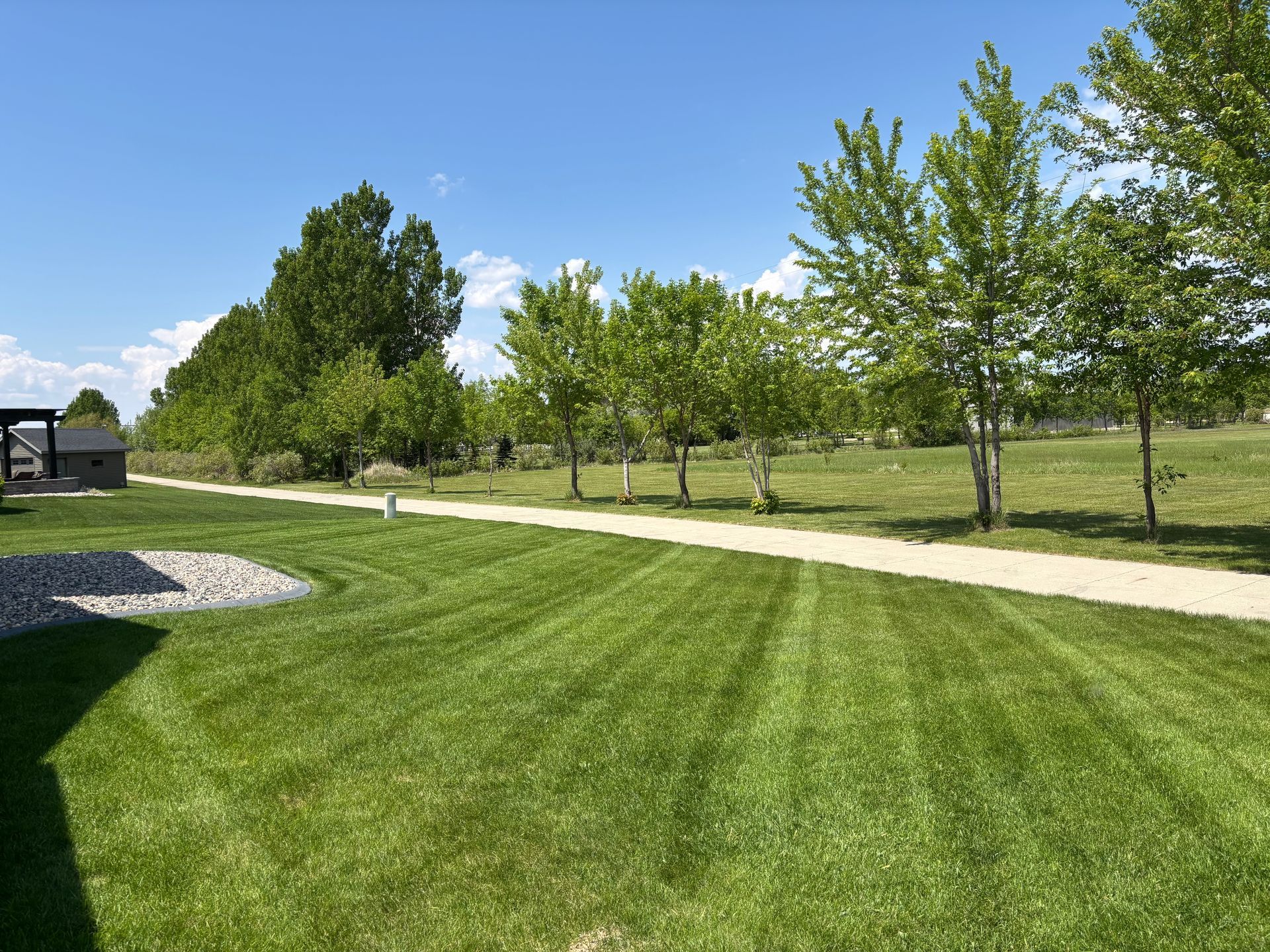 A sunny outdoor scene featuring a manicured green lawn in the foreground and a gravel path lined with trees beyond.