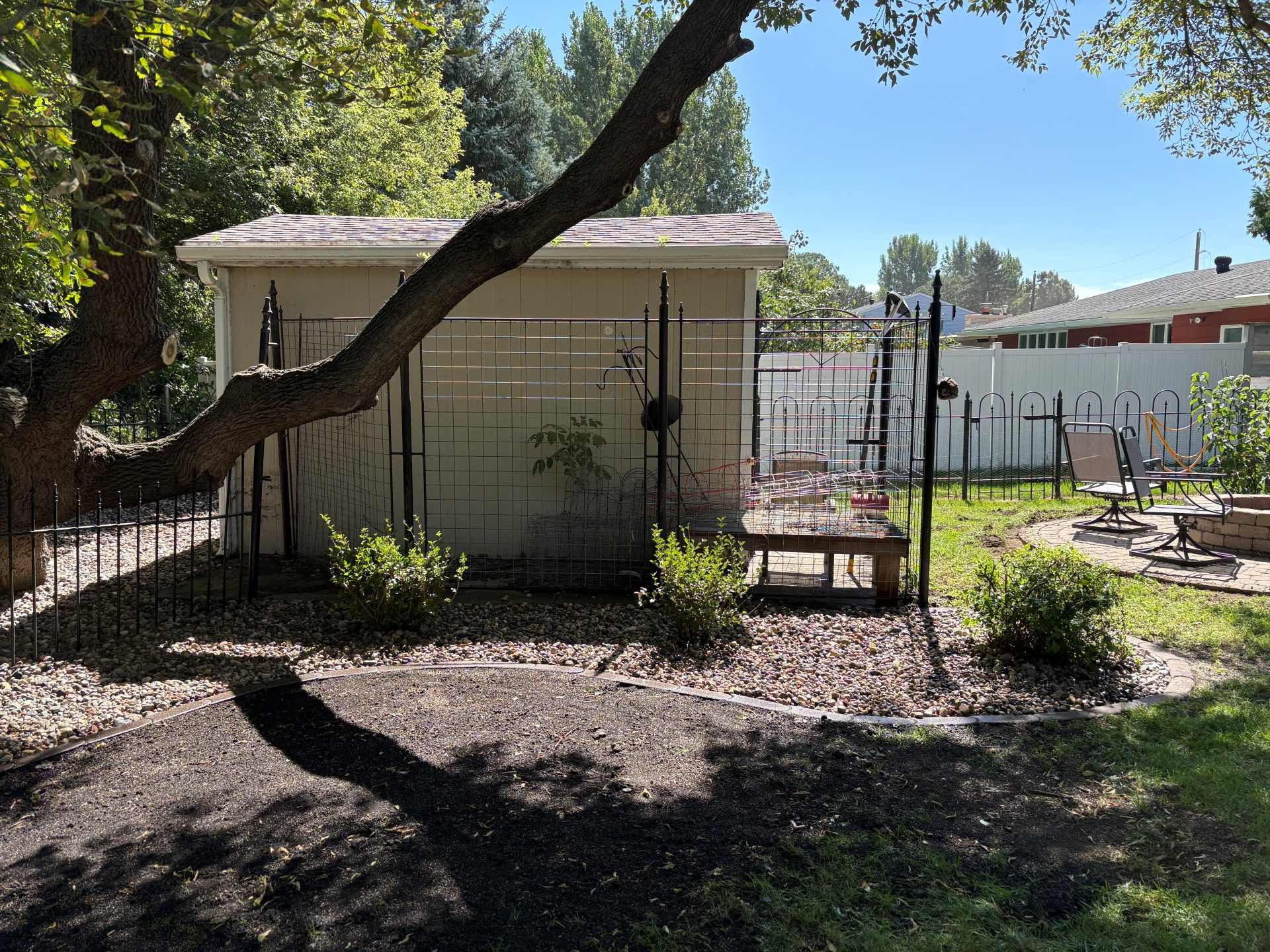 A light-colored shed in a backyard with a large tree branch in the foreground, metal trellises, and gravel landscaping.